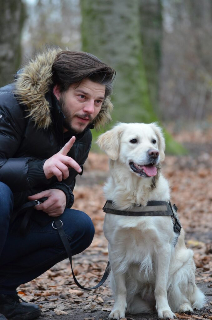 A man interacts with a Golden Retriever dog in a vibrant, autumn forest setting.